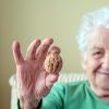 只需吃核桃可能会缓慢危险的老年人的认知下降