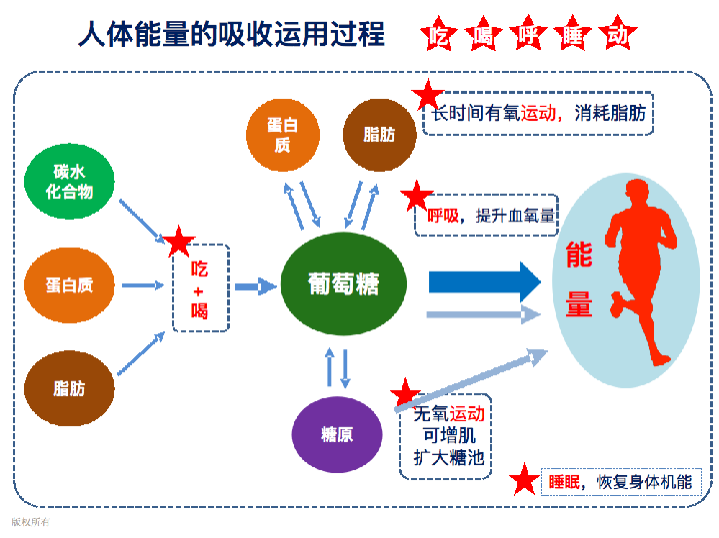 肿瘤细胞蛋白质代谢_陈金西医生细胞种植_细胞新陈代谢