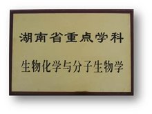 基础化学实验东华大学_大学实验化学_大学计算机应用基础实验指导与习题集(第2版)