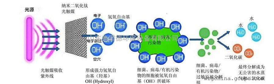 dnf分解史诗用什么分解机_dnf分解机分解一次多少耐久_二氧化钛分解有机物