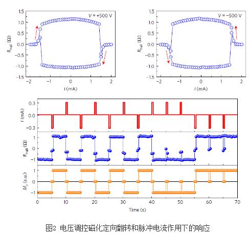 钽酸锂的用途_钽酸锂晶体用坩埚_硅.铌酸锂钽酸锂颗粒