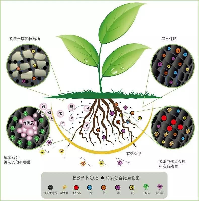 树叶是天然肥料_什么是微生物肥料_肥料包装袋是怎么设计的