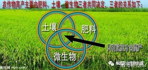 什么是微生物肥料_树叶是天然肥料_肥料包装袋是怎么设计的