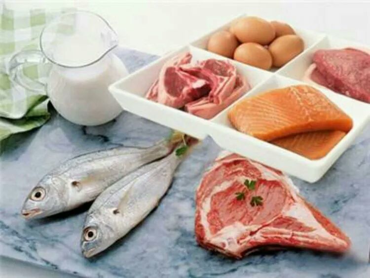 蛋白质多的食物排行榜_动物蛋白高的食物_高尔基体蛋白和内网质