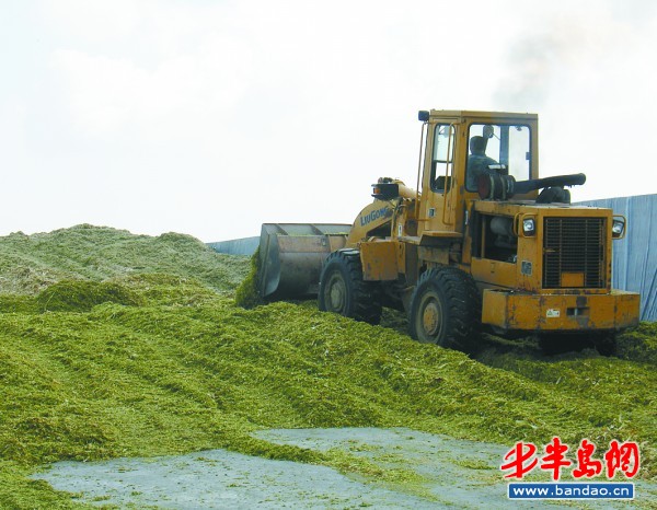 秸秆综合利用补贴_荆门秸秆回收利用_秸秆利用现状