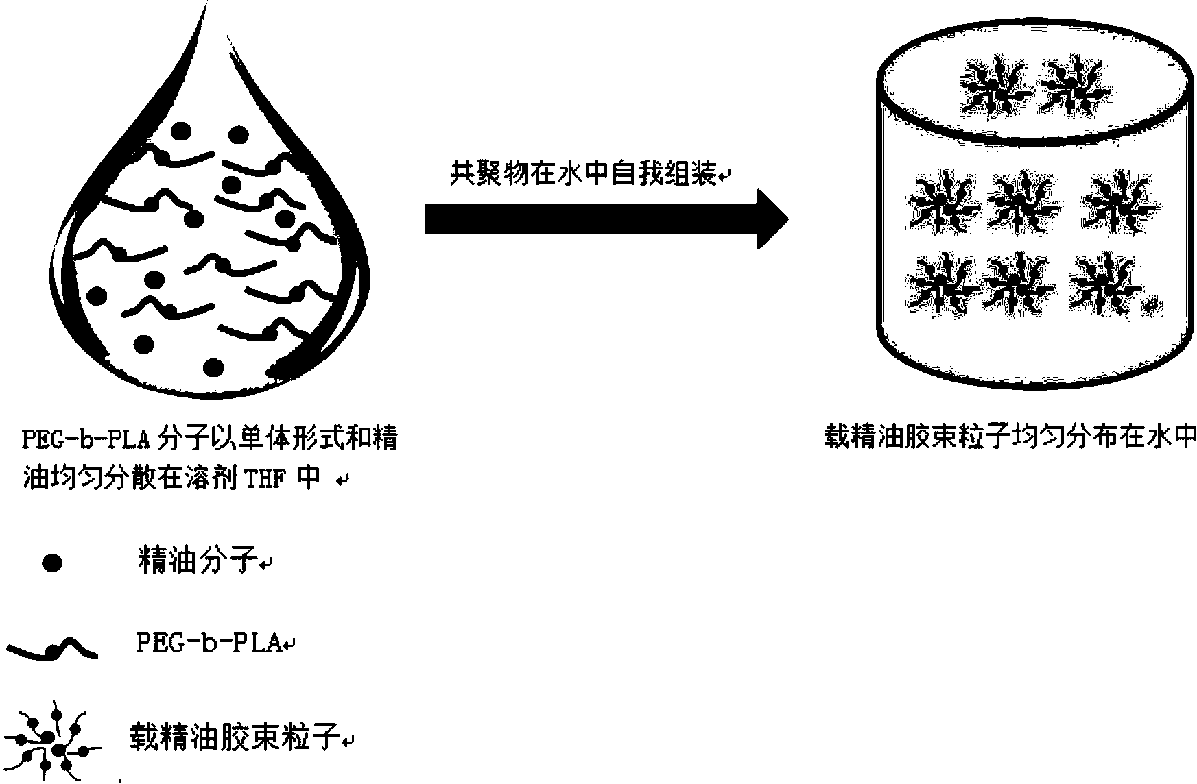 二氧化钛光催化试验紫外灯高度为多少_二氧化钛光催化试验紫外灯高度为多少_紫外led灯